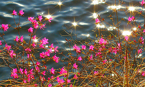 �������� � ������� �������� 